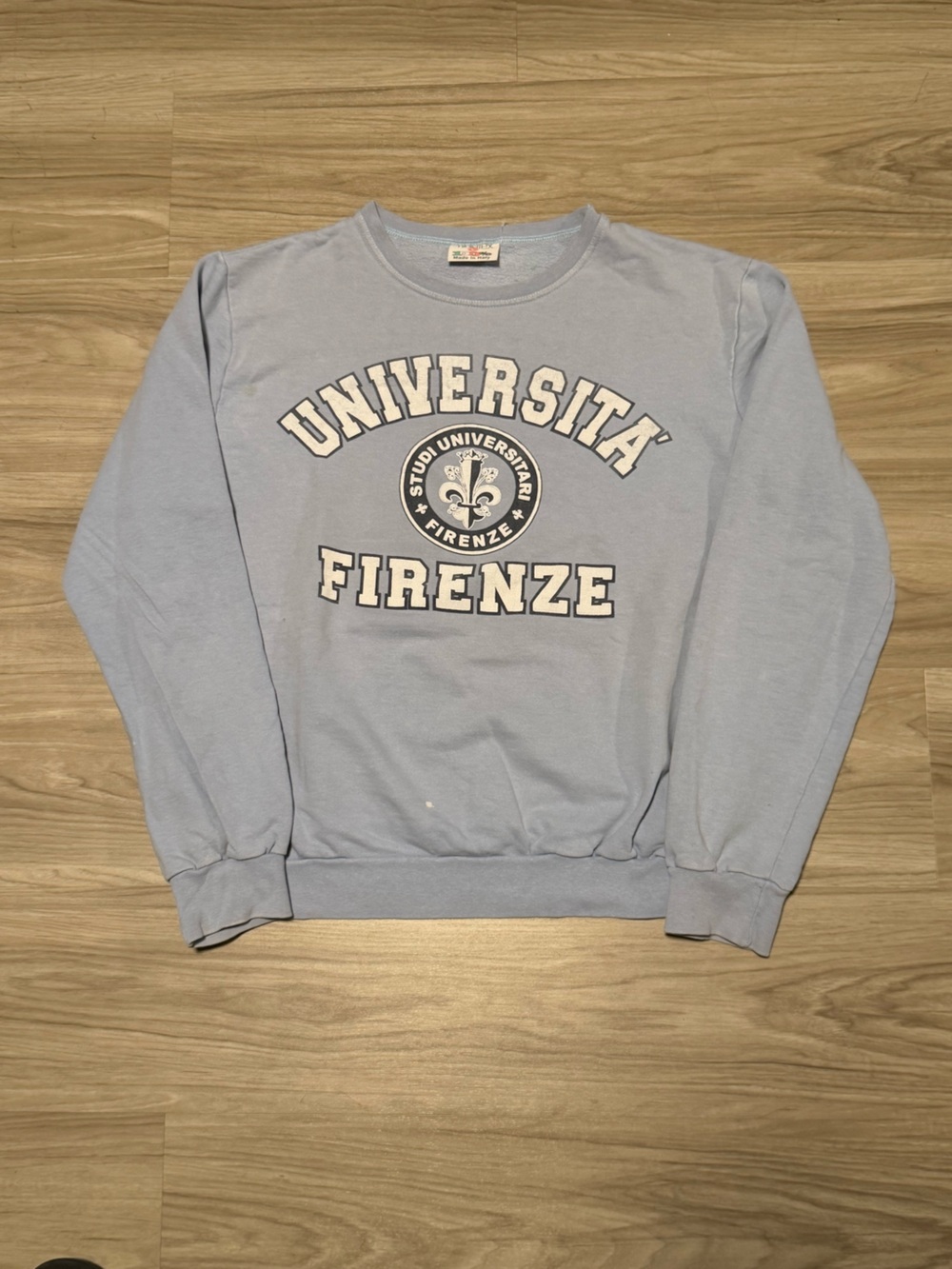 Vintage 1980s/1990s Università di Firenze Collegiate Crewneck Sweatshirt L